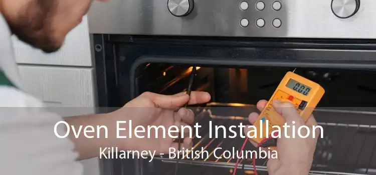 Oven Element Installation Killarney - British Columbia