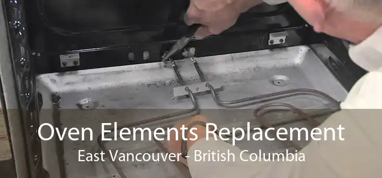 Oven Elements Replacement East Vancouver - British Columbia
