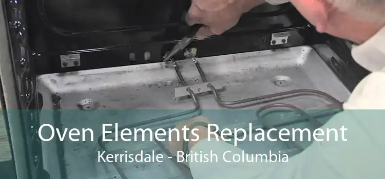 Oven Elements Replacement Kerrisdale - British Columbia