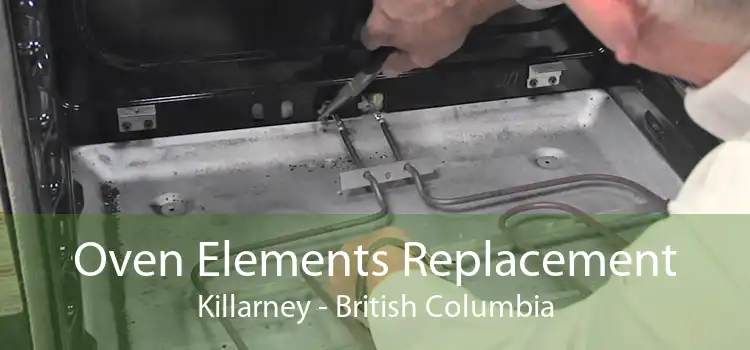 Oven Elements Replacement Killarney - British Columbia