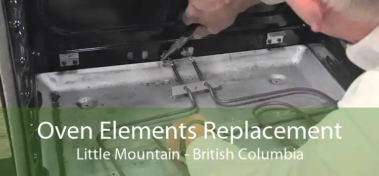 Oven Elements Replacement Little Mountain - British Columbia