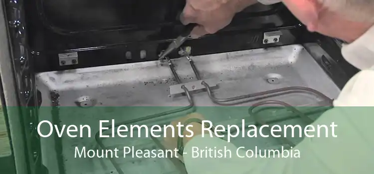 Oven Elements Replacement Mount Pleasant - British Columbia