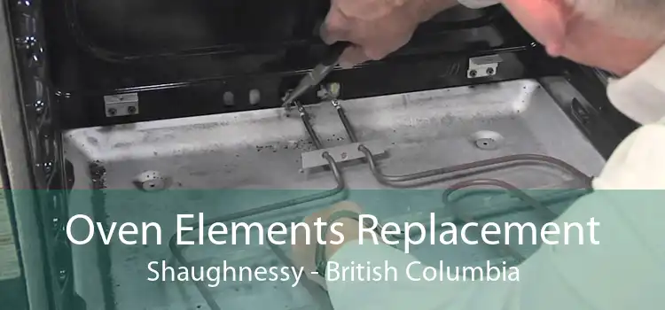 Oven Elements Replacement Shaughnessy - British Columbia