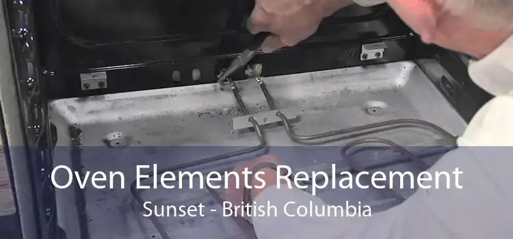 Oven Elements Replacement Sunset - British Columbia