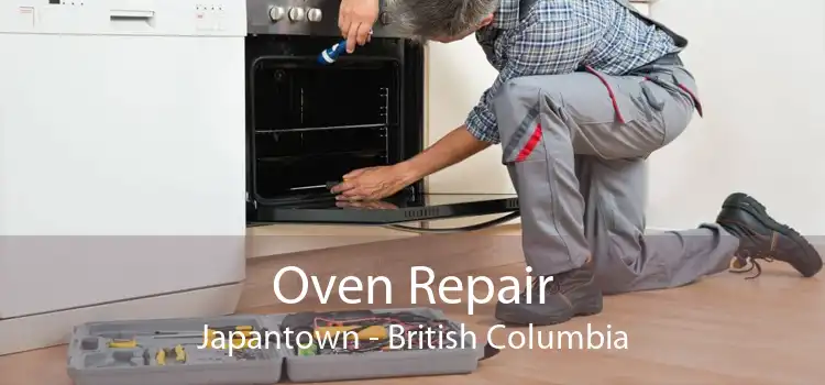 Oven Repair Japantown - British Columbia