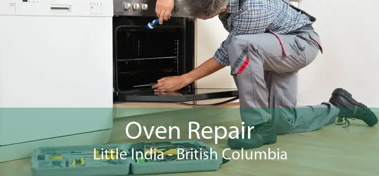 Oven Repair Little India - British Columbia