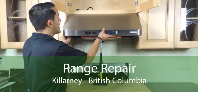 Range Repair Killarney - British Columbia