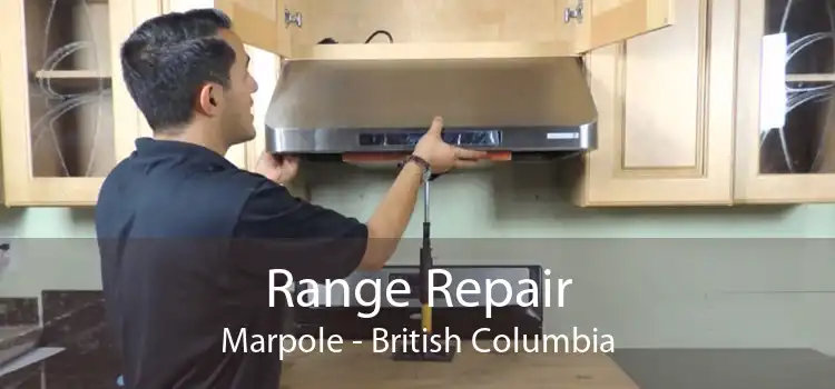 Range Repair Marpole - British Columbia