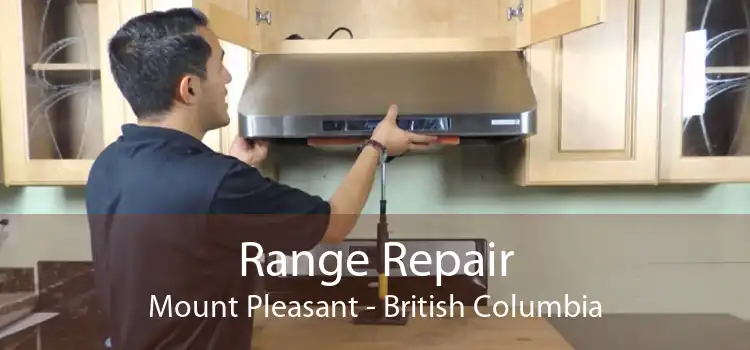 Range Repair Mount Pleasant - British Columbia