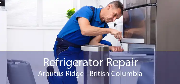 Refrigerator Repair Arbutus Ridge - British Columbia