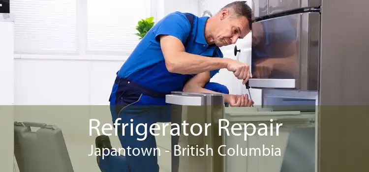 Refrigerator Repair Japantown - British Columbia
