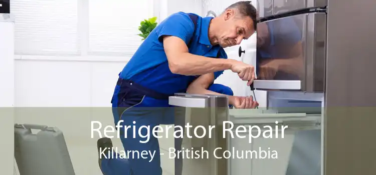 Refrigerator Repair Killarney - British Columbia