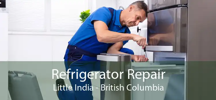 Refrigerator Repair Little India - British Columbia