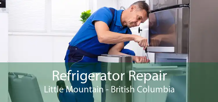 Refrigerator Repair Little Mountain - British Columbia