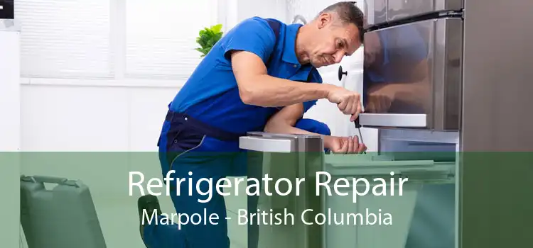 Refrigerator Repair Marpole - British Columbia