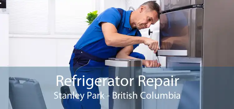 Refrigerator Repair Stanley Park - British Columbia