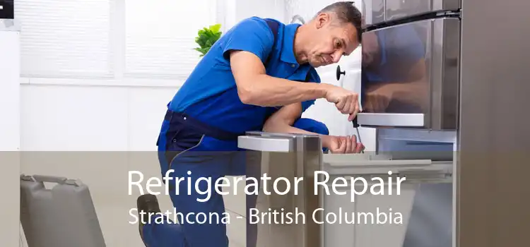 Refrigerator Repair Strathcona - British Columbia
