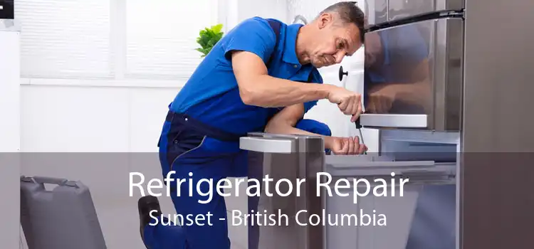 Refrigerator Repair Sunset - British Columbia