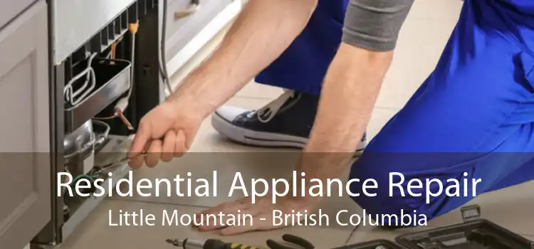 Residential Appliance Repair Little Mountain - British Columbia