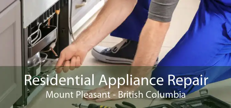 Residential Appliance Repair Mount Pleasant - British Columbia