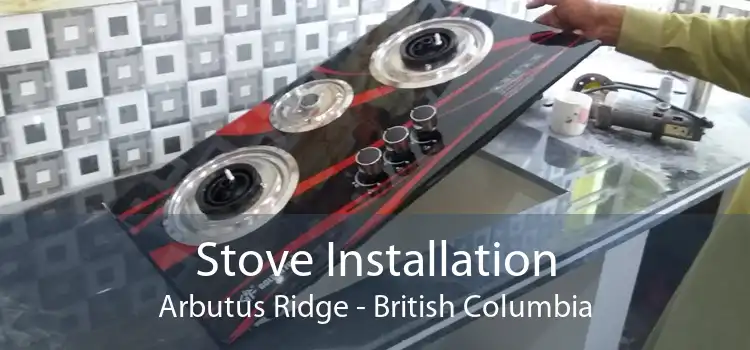 Stove Installation Arbutus Ridge - British Columbia