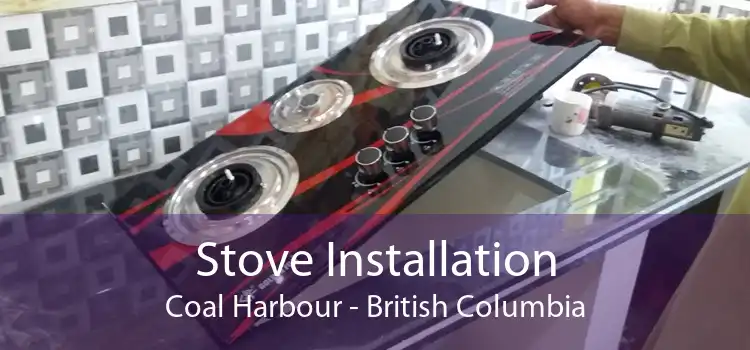 Stove Installation Coal Harbour - British Columbia