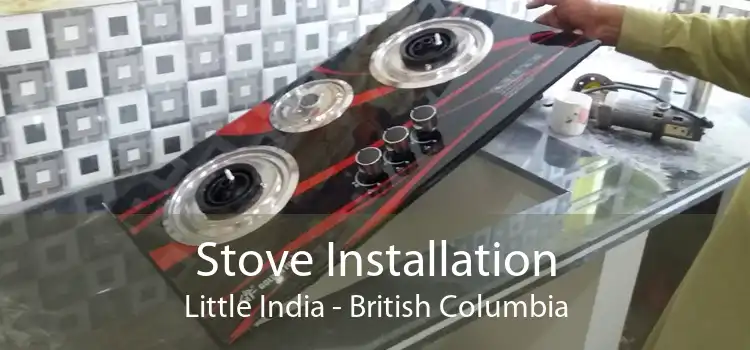 Stove Installation Little India - British Columbia