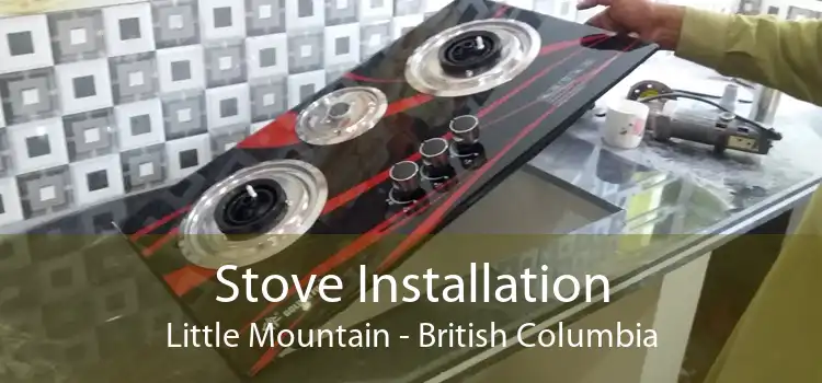 Stove Installation Little Mountain - British Columbia