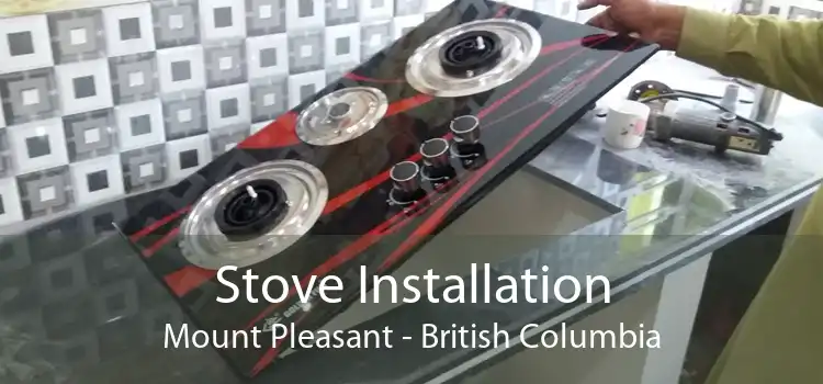 Stove Installation Mount Pleasant - British Columbia