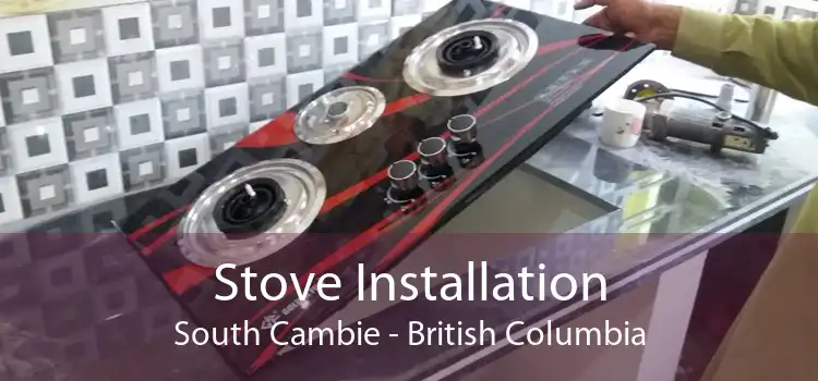 Stove Installation South Cambie - British Columbia
