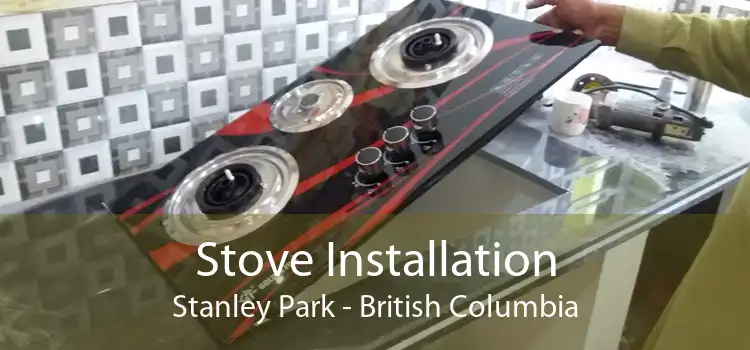 Stove Installation Stanley Park - British Columbia