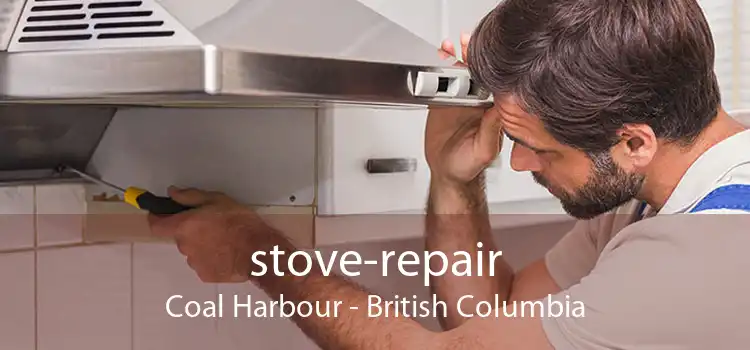 stove-repair Coal Harbour - British Columbia
