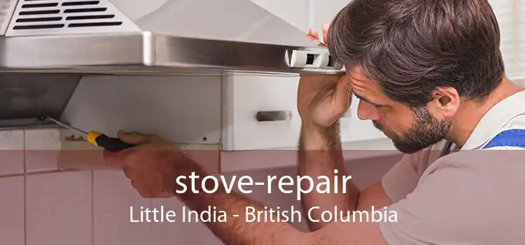 stove-repair Little India - British Columbia