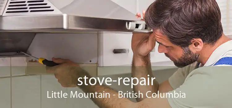 stove-repair Little Mountain - British Columbia