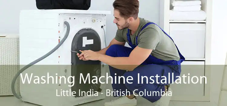 Washing Machine Installation Little India - British Columbia