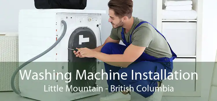 Washing Machine Installation Little Mountain - British Columbia