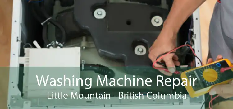 Washing Machine Repair Little Mountain - British Columbia