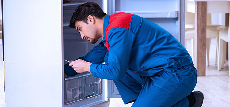 Freezer Repair Services in False Creek